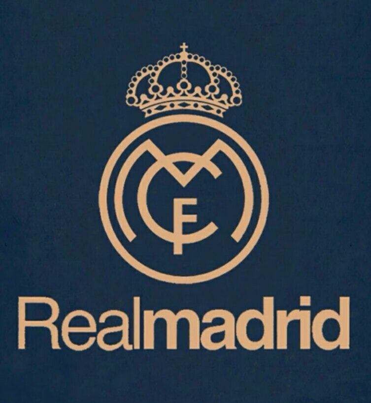 篮球勇士新签球员快速融入